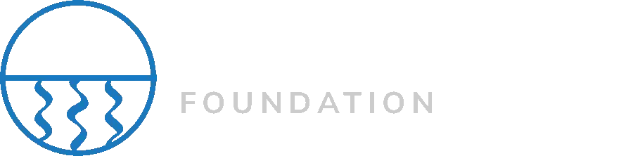 Mineral Springs Foundation